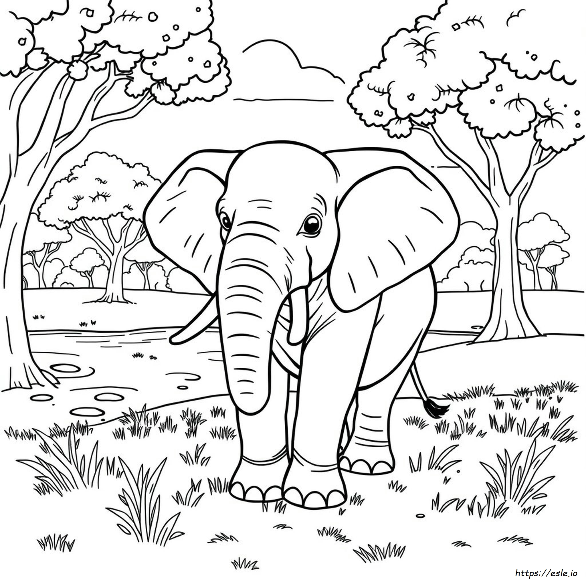 Detailed Elephant Coloring Pages