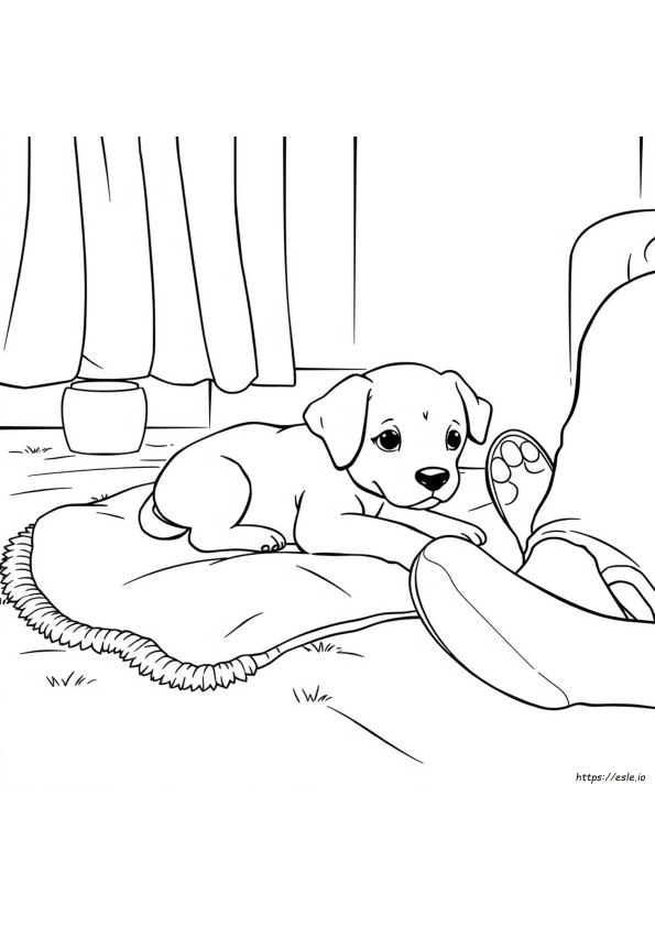 How To Color A Puppy