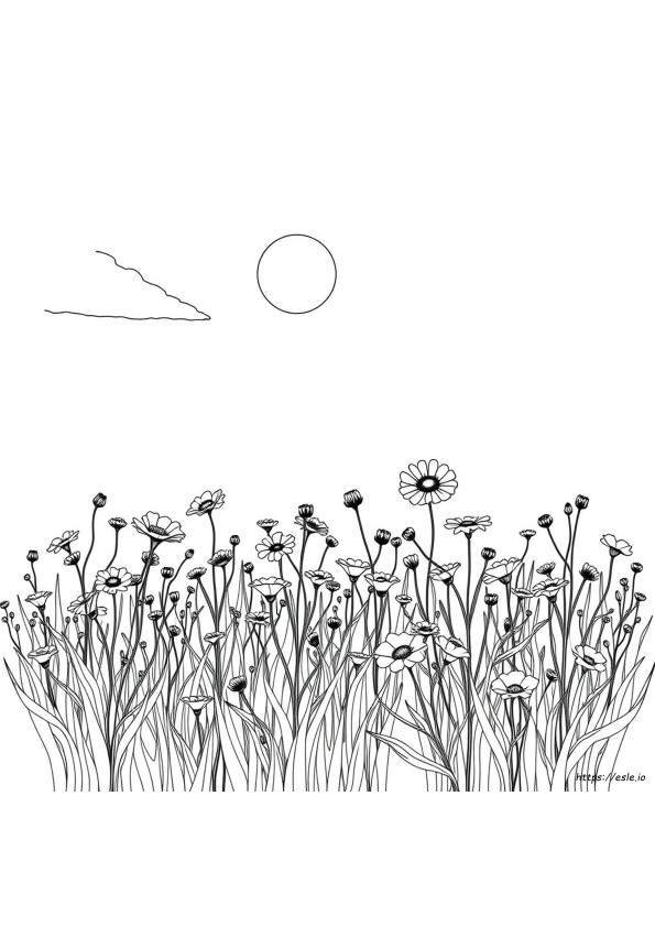 Coloriages De Fleurs Sauvages
