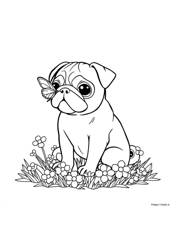Do Pugs Change Color