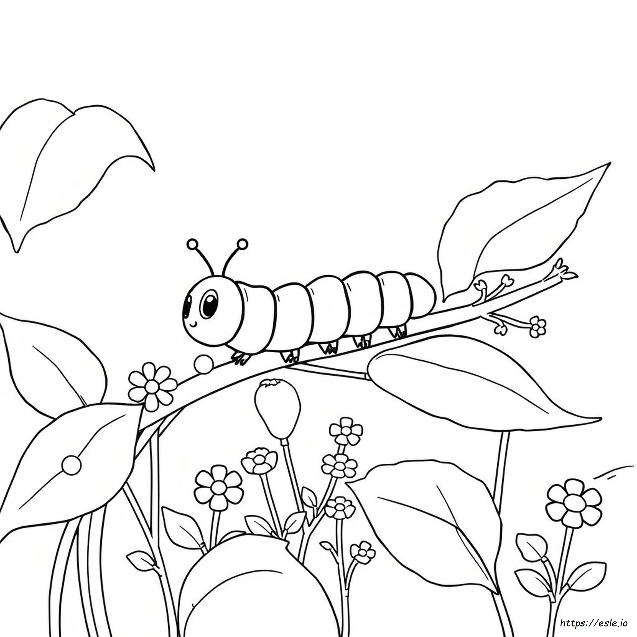 Caterpillar Coloring Pictures
