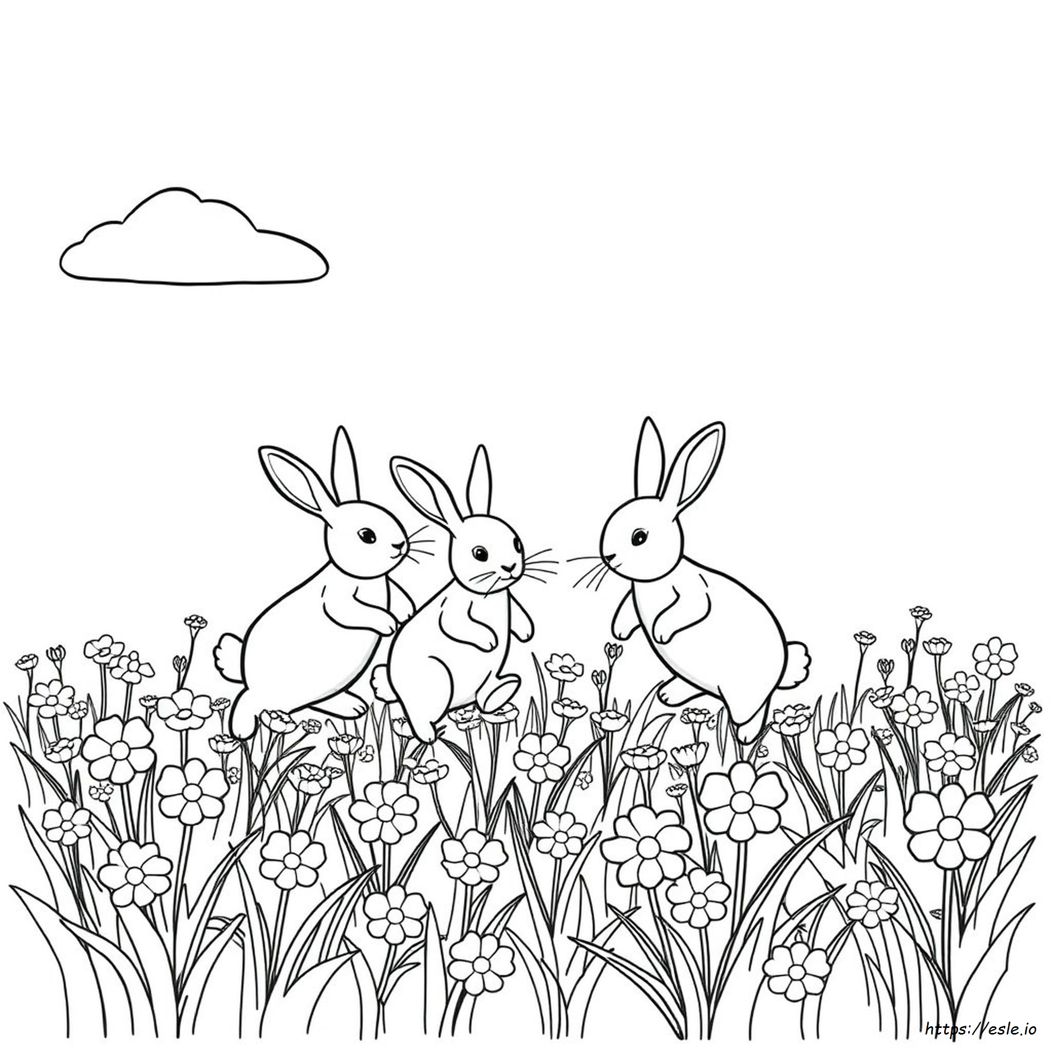 White Rabbits Coloring Book