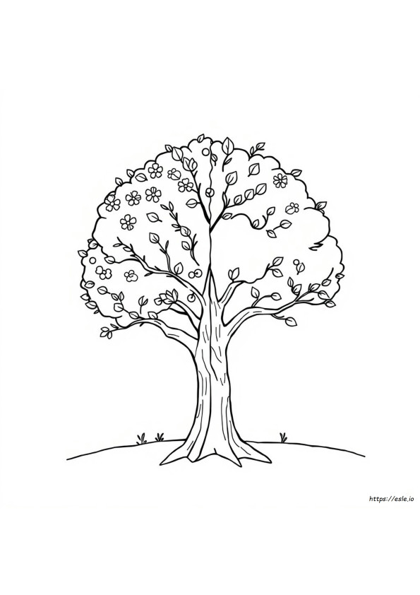 Foglie Di Autunno Da Colorare
