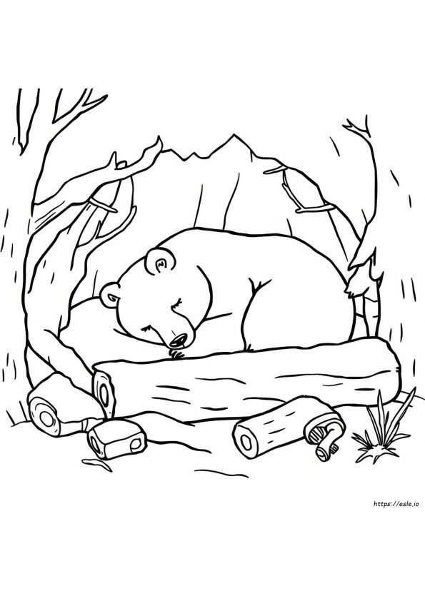 Hibernating Bear Coloring