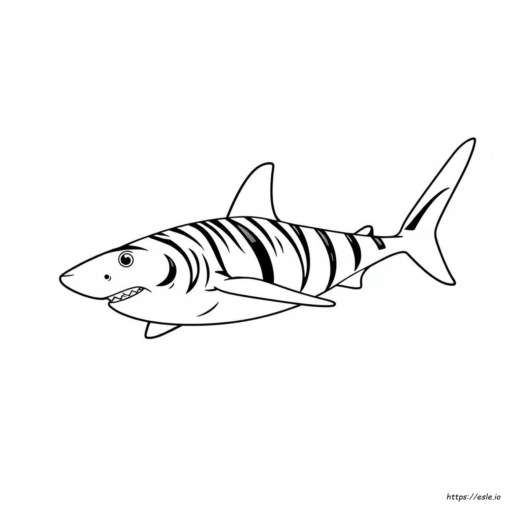 Tiger Shark Colouring