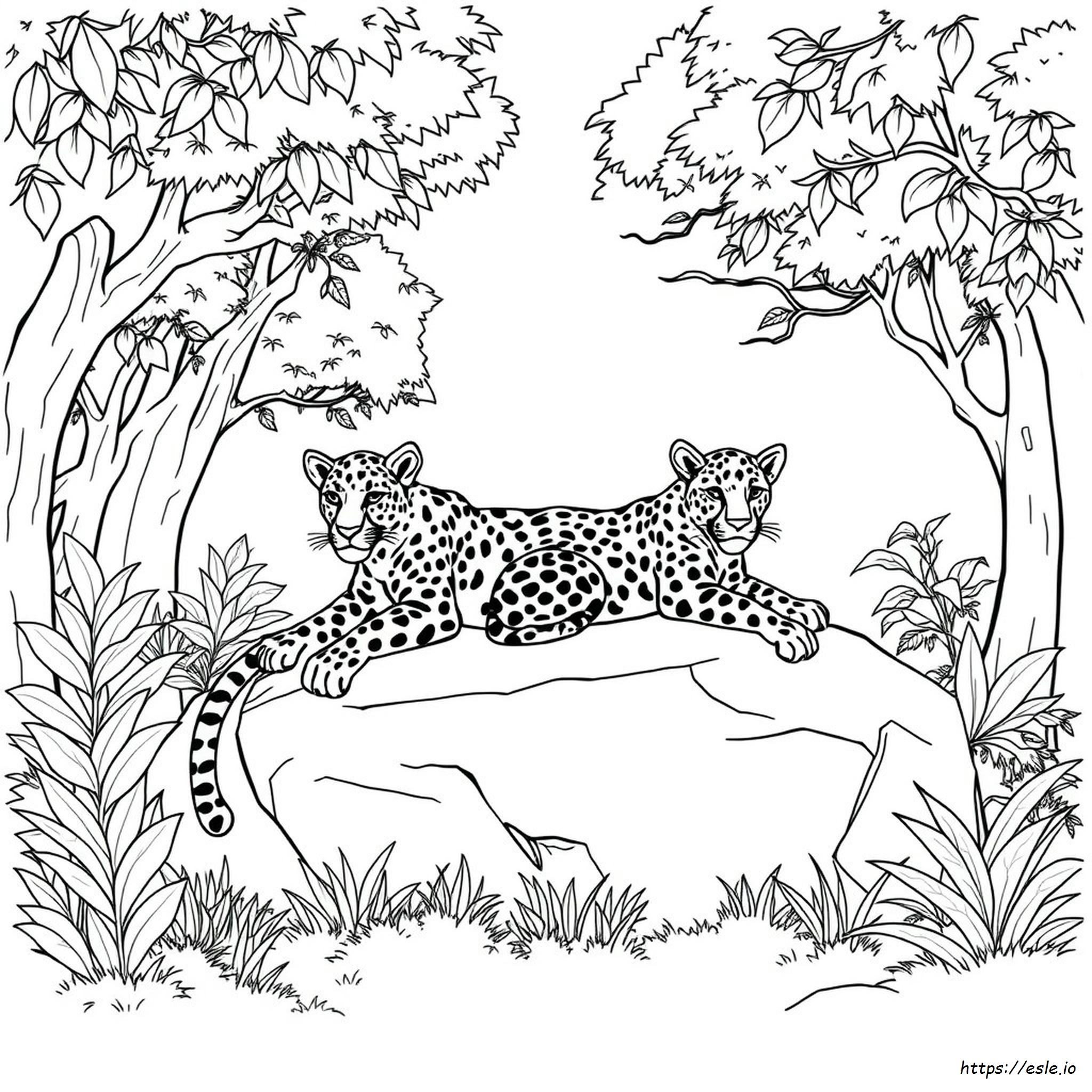 Coloring Pages Of Leopards