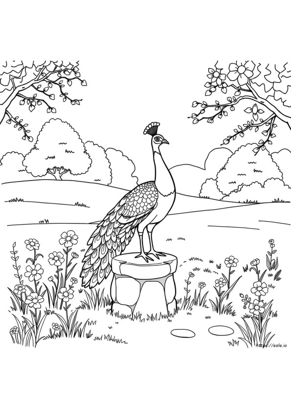 Printable Realistic Peacock Coloring Pages