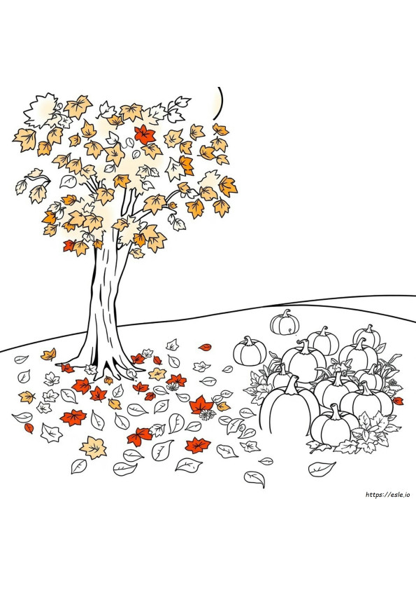 Colouring Autumn