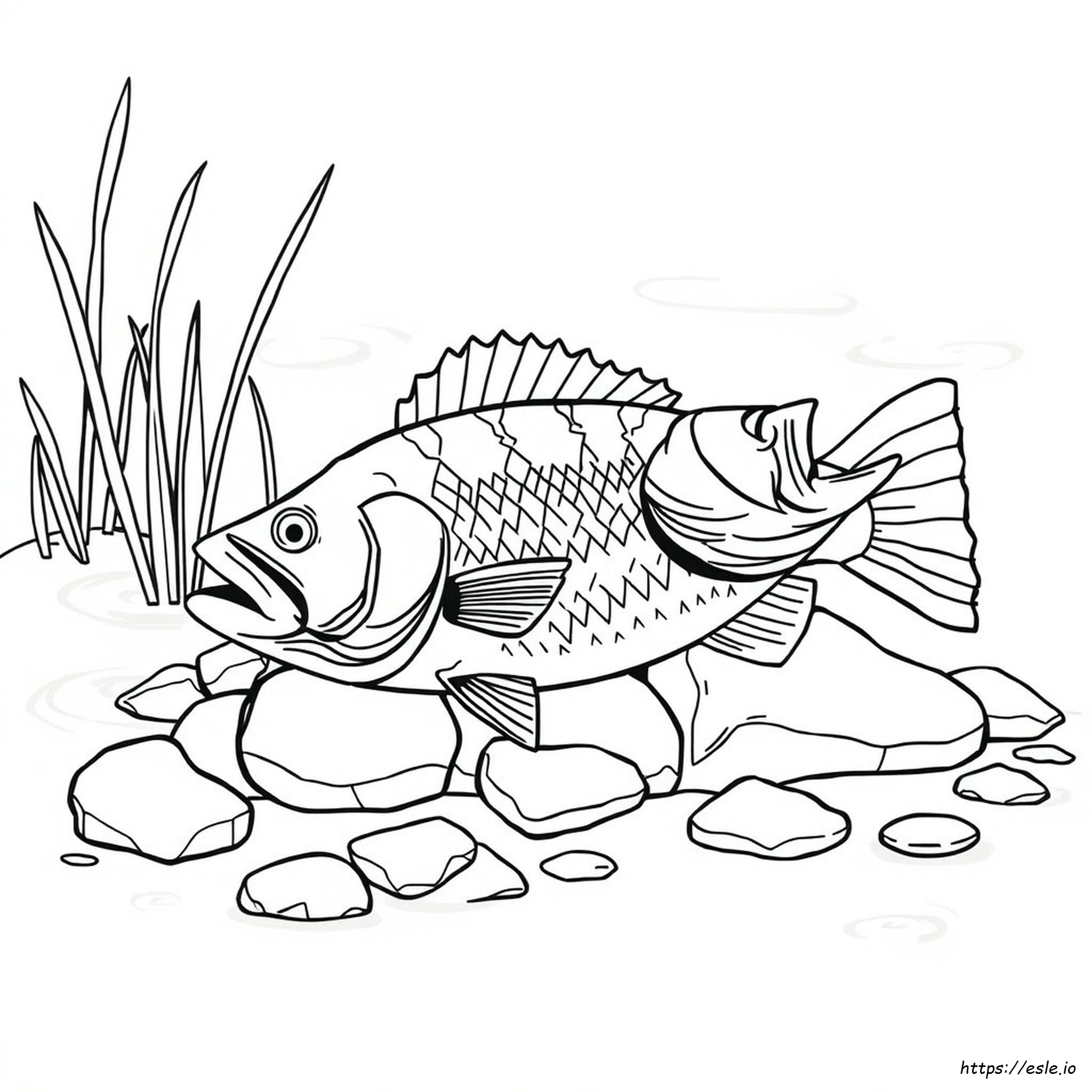 Largemouth Realistic Bass Coloring Page