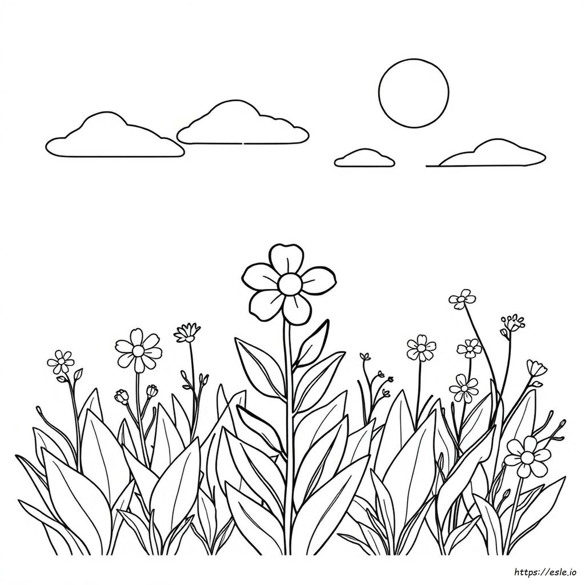 Flower Picture For Coloring