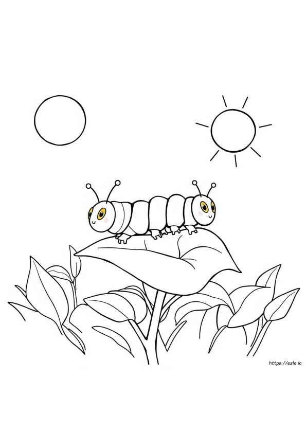 Can Caterpillars Change Color