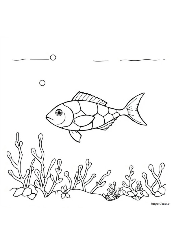 Colouring Ikan