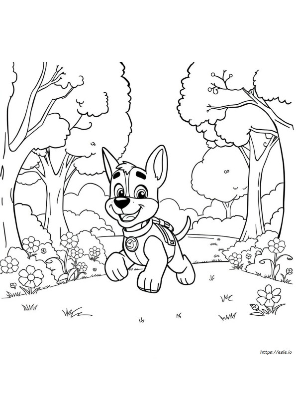 Chase Coloring Picture