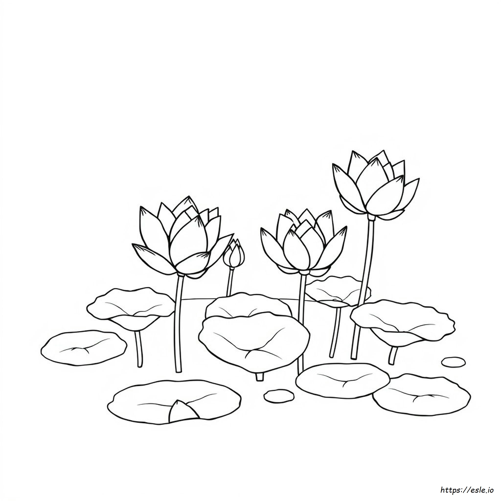 Lotus Images For Colouring