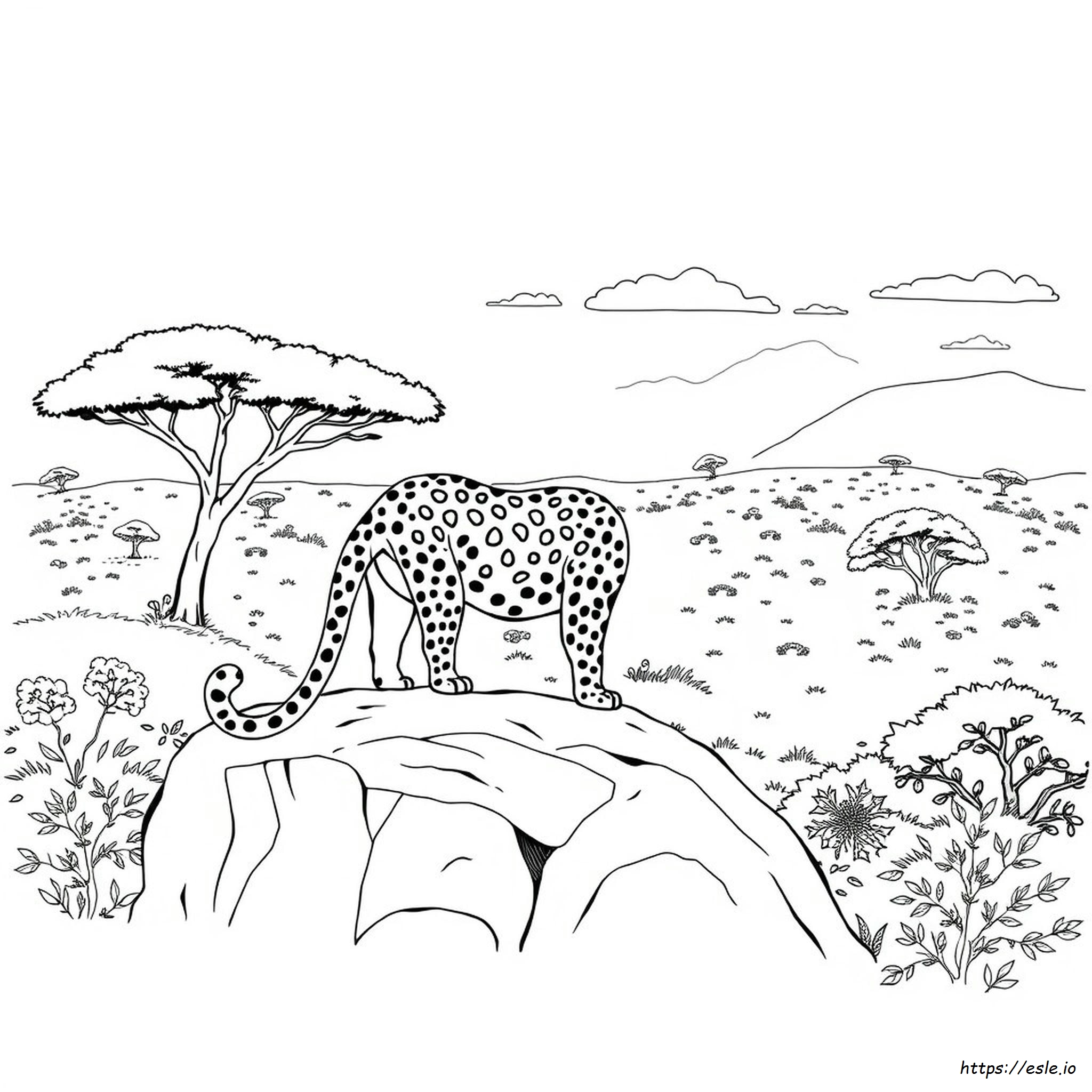 Realistic Jaguar Coloring Pages