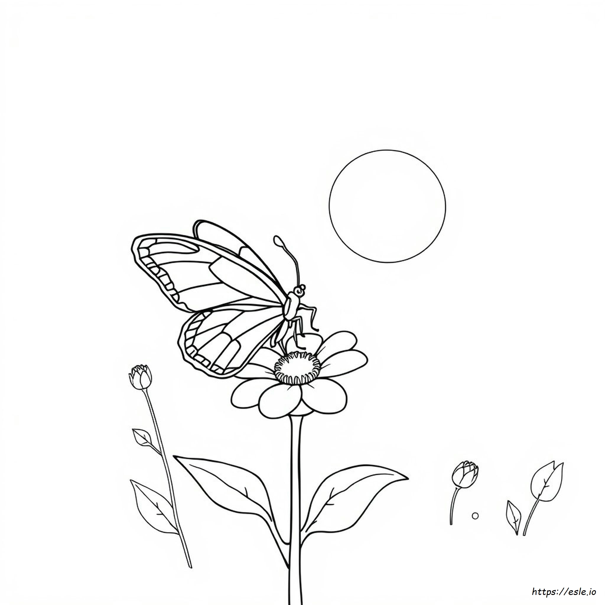 Pretty Colouring Pictures