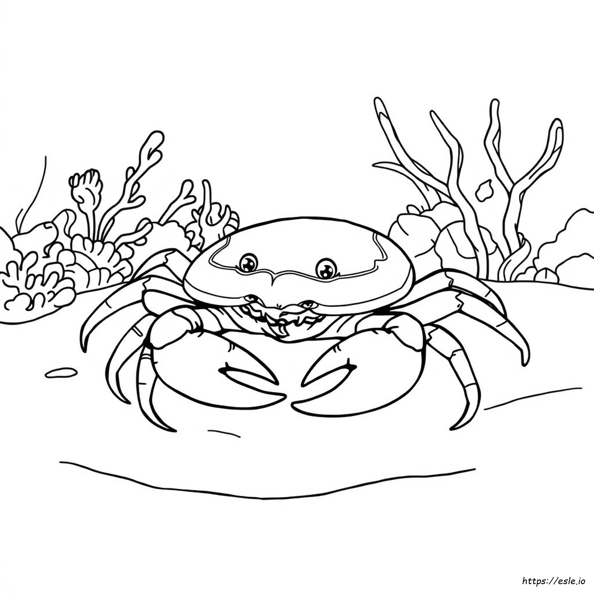 Horseshoe Crab Coloring Page