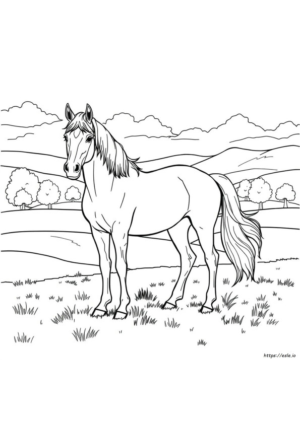 Realistic Horse Colouring