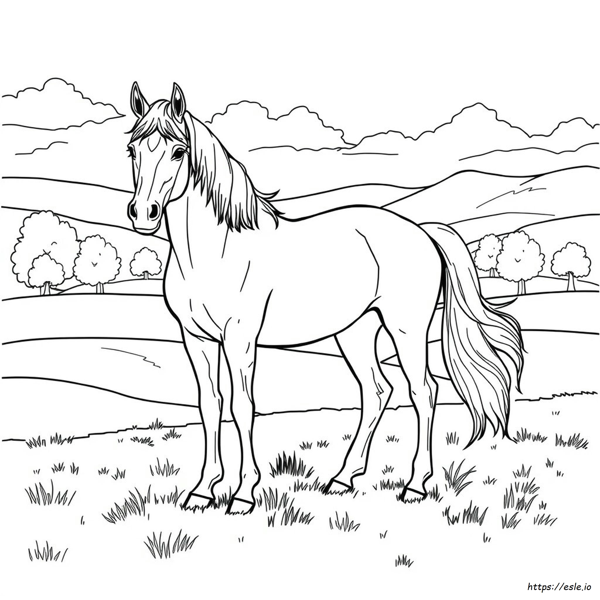 Coloriage Cheval Réaliste