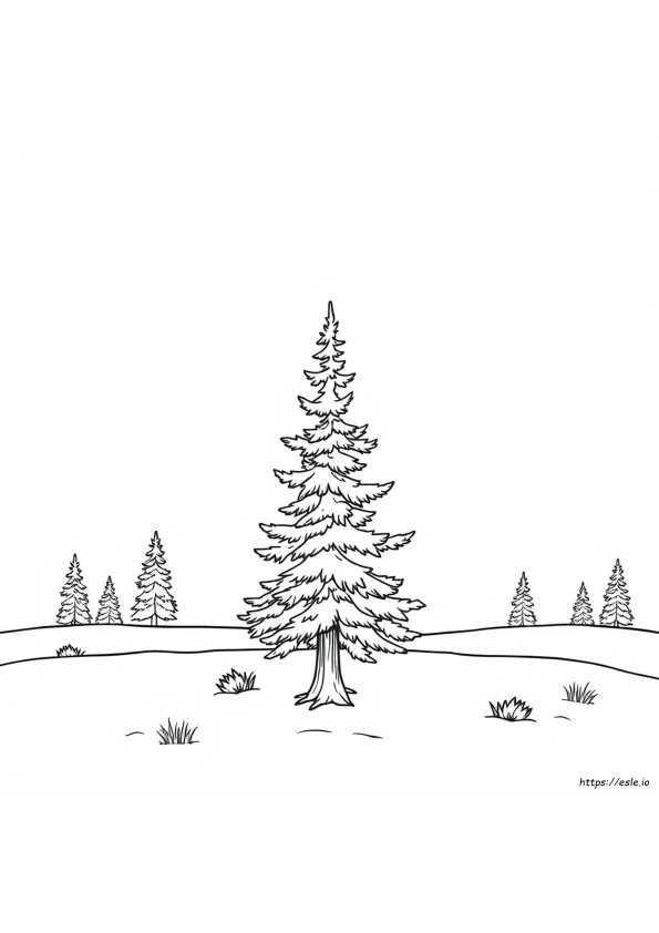 Ponderosa-Mänty Värityskuva