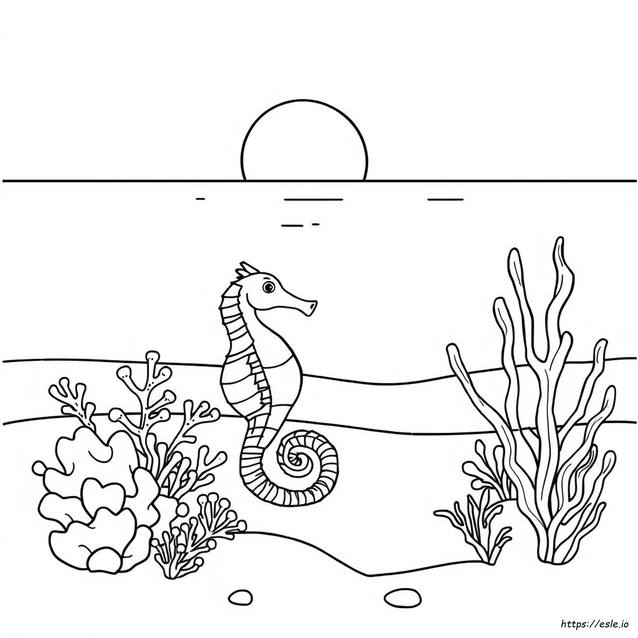 Seashore Coloring Pages Free