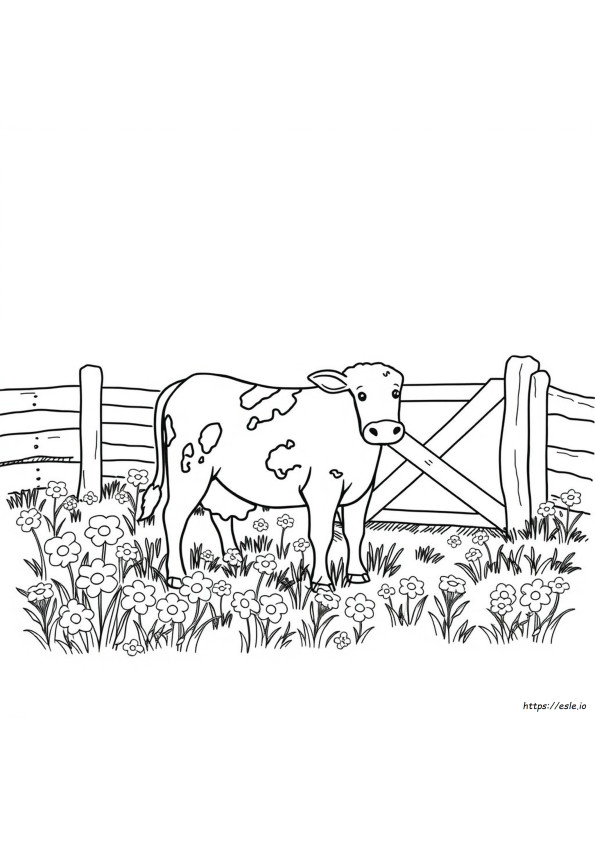 Cow Coloring Pictures