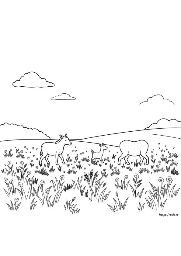 Coloring Pages Of Animals Free