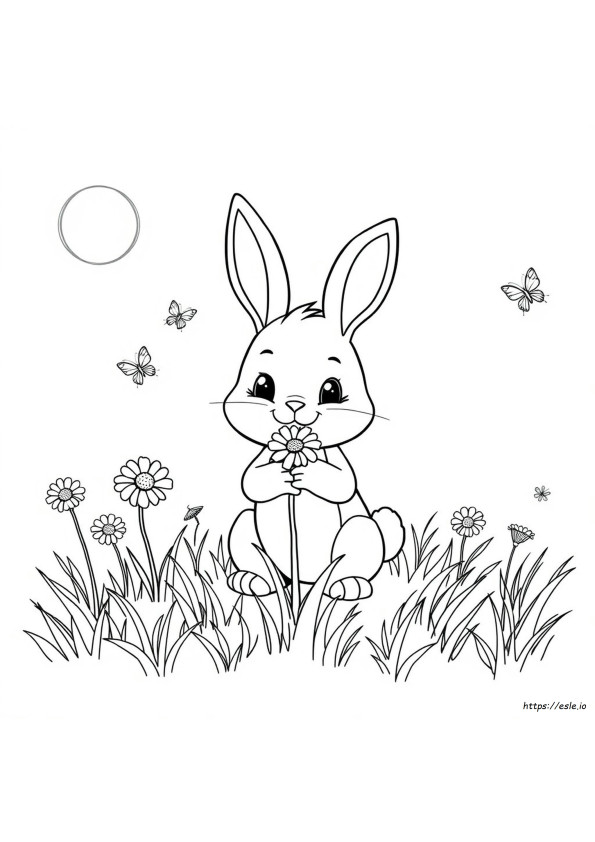 Cute Stuff To Colour