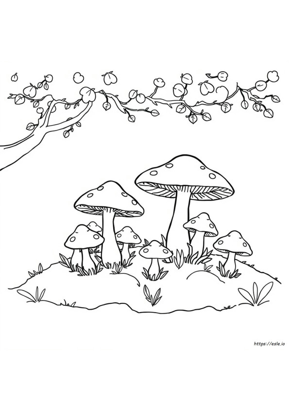 Fungo Da Colorare