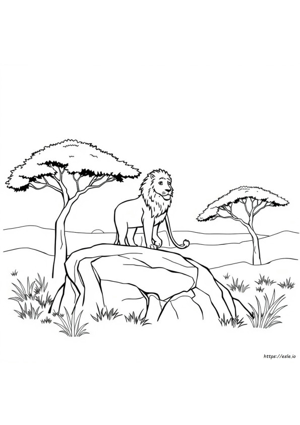 Lion Coloring Book Page