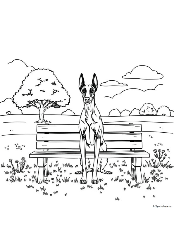 Printable Doberman Coloring Pages