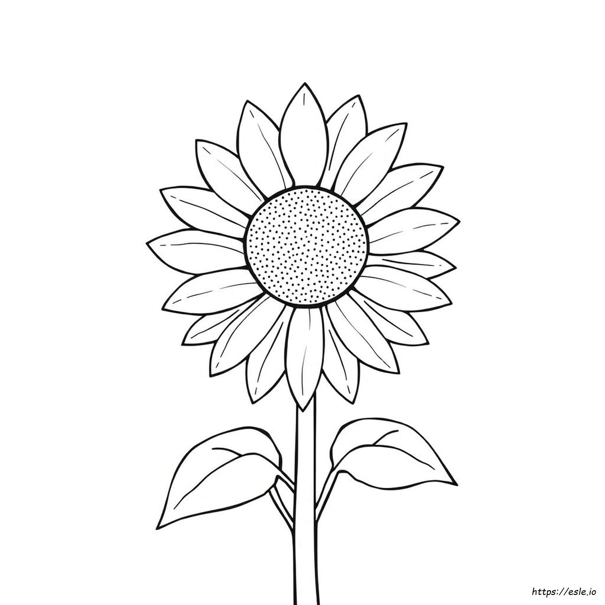 Sunflower Outline Images For Colouring