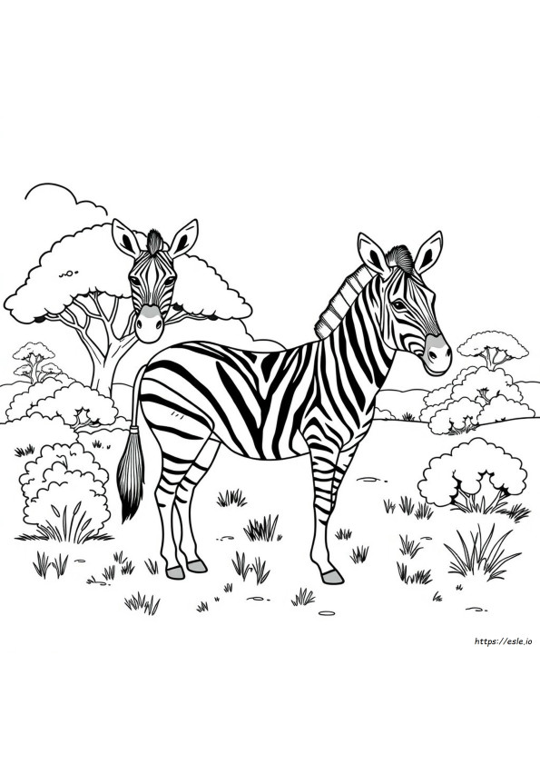 Yetişkin Zebra Boyama Sayfası