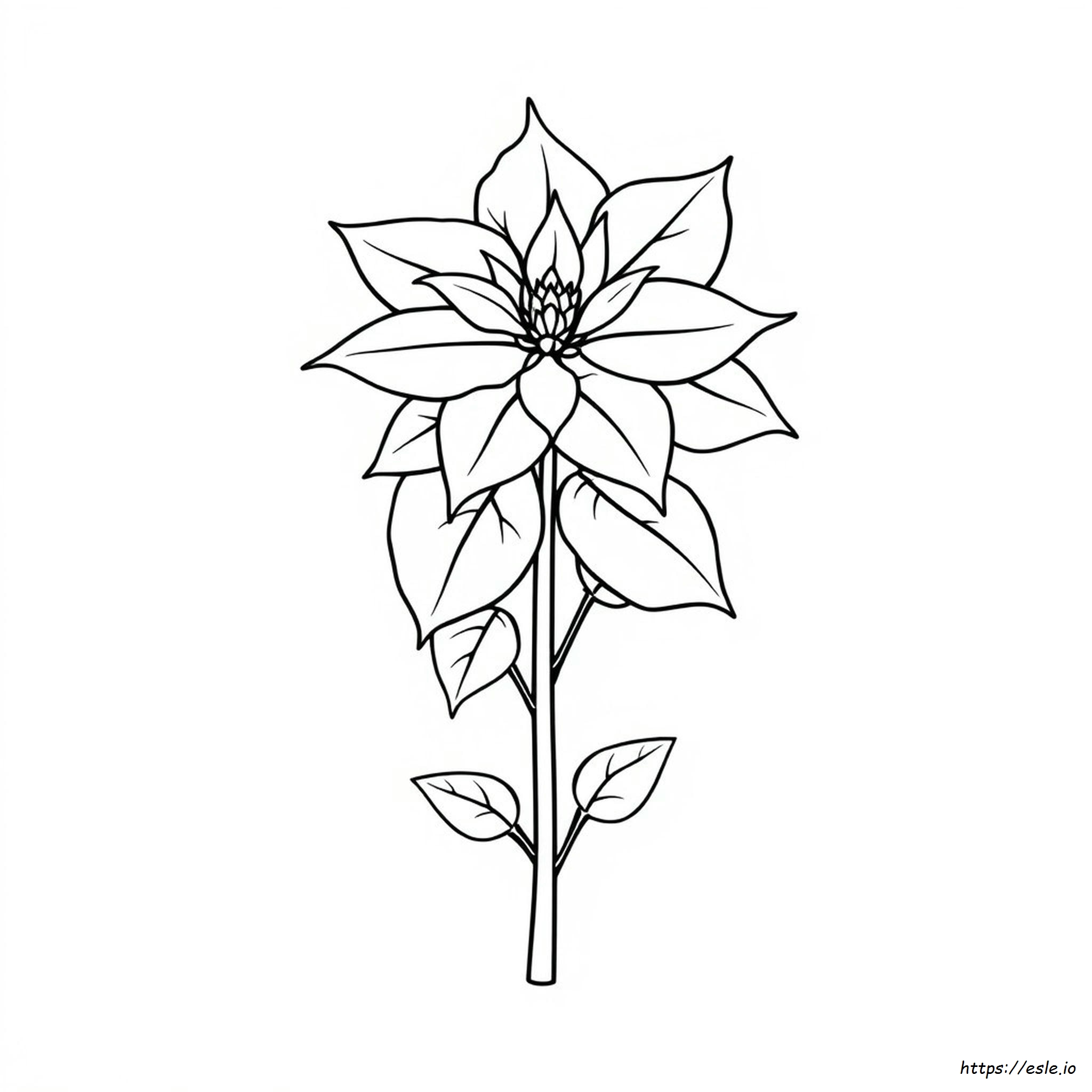 Gambar Mewarnai Poinsettia Yang Dapat Dicetak