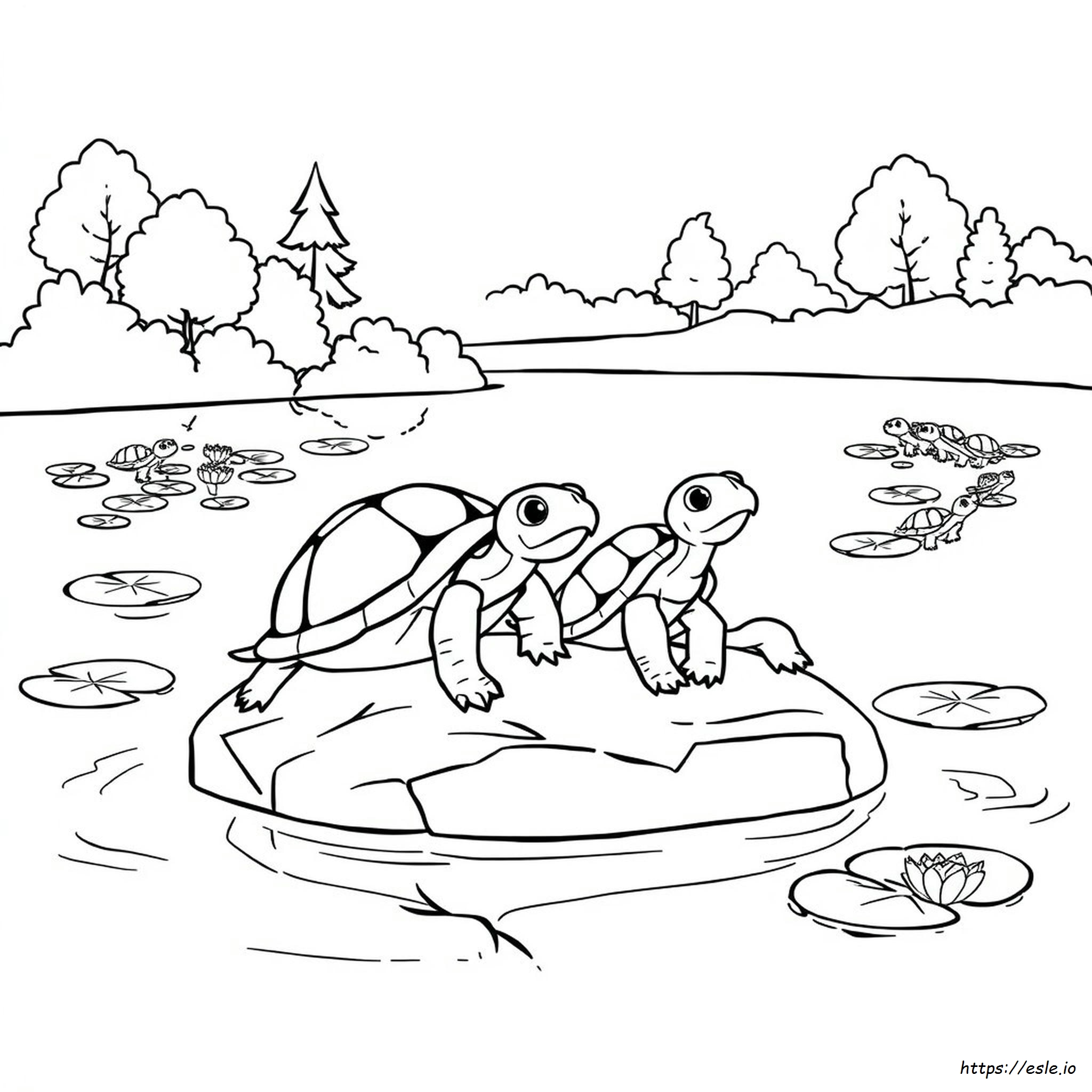 Turtles To Colour In