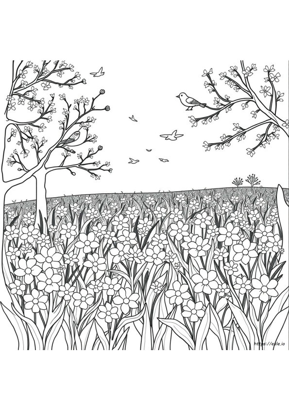 Disegni Da Colorare Primaverili Per Adulti