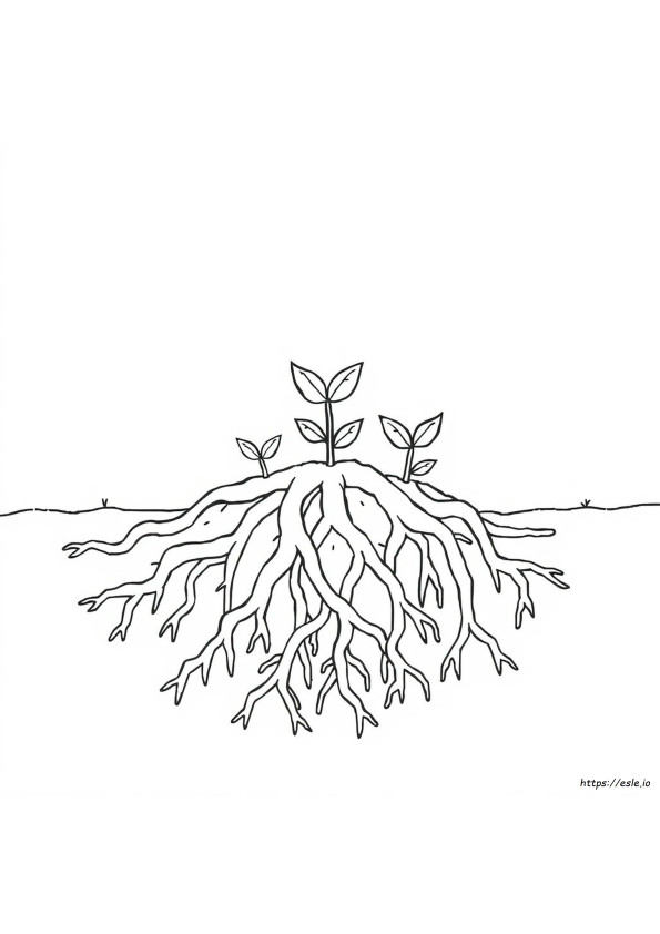 How To Color Roots