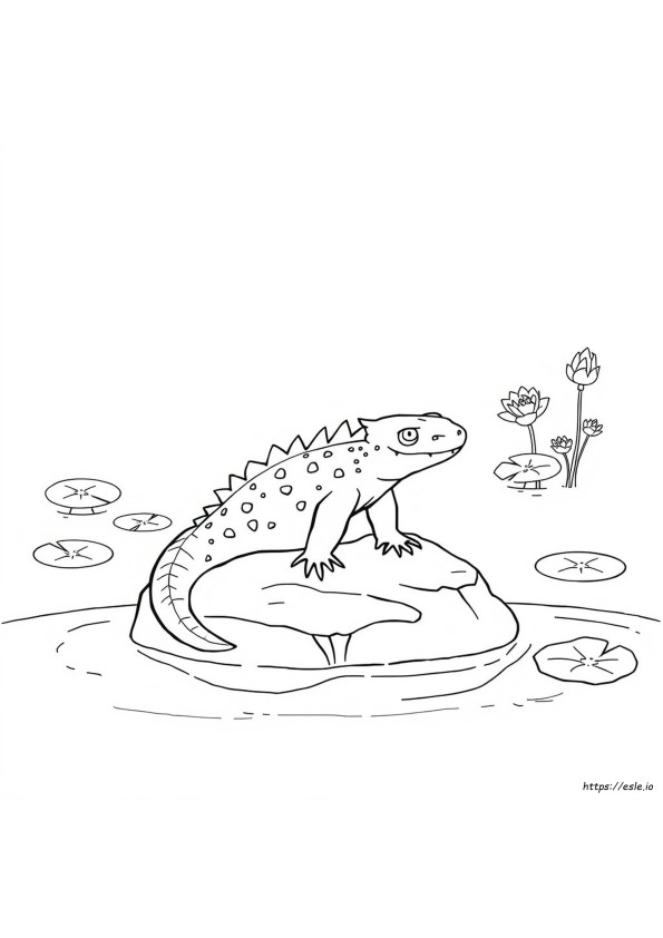 Axolotl Kleurplaten Ajolote Tekening Om In Te Kleuren