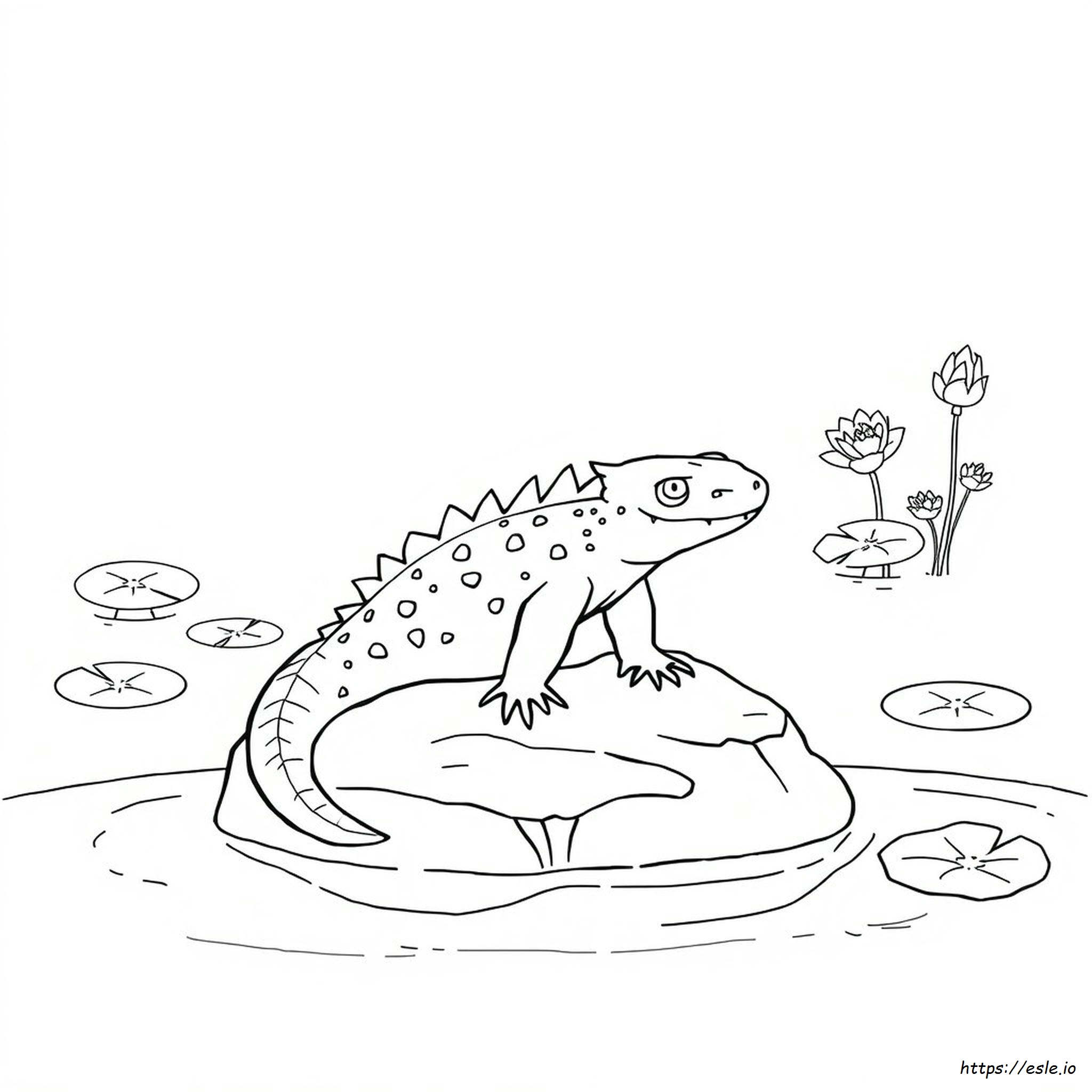 Axolotl Da Colorare