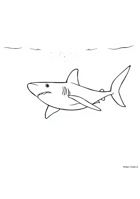 Shark Coloring
