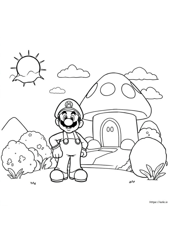 Super Mario Luigi De Colorat