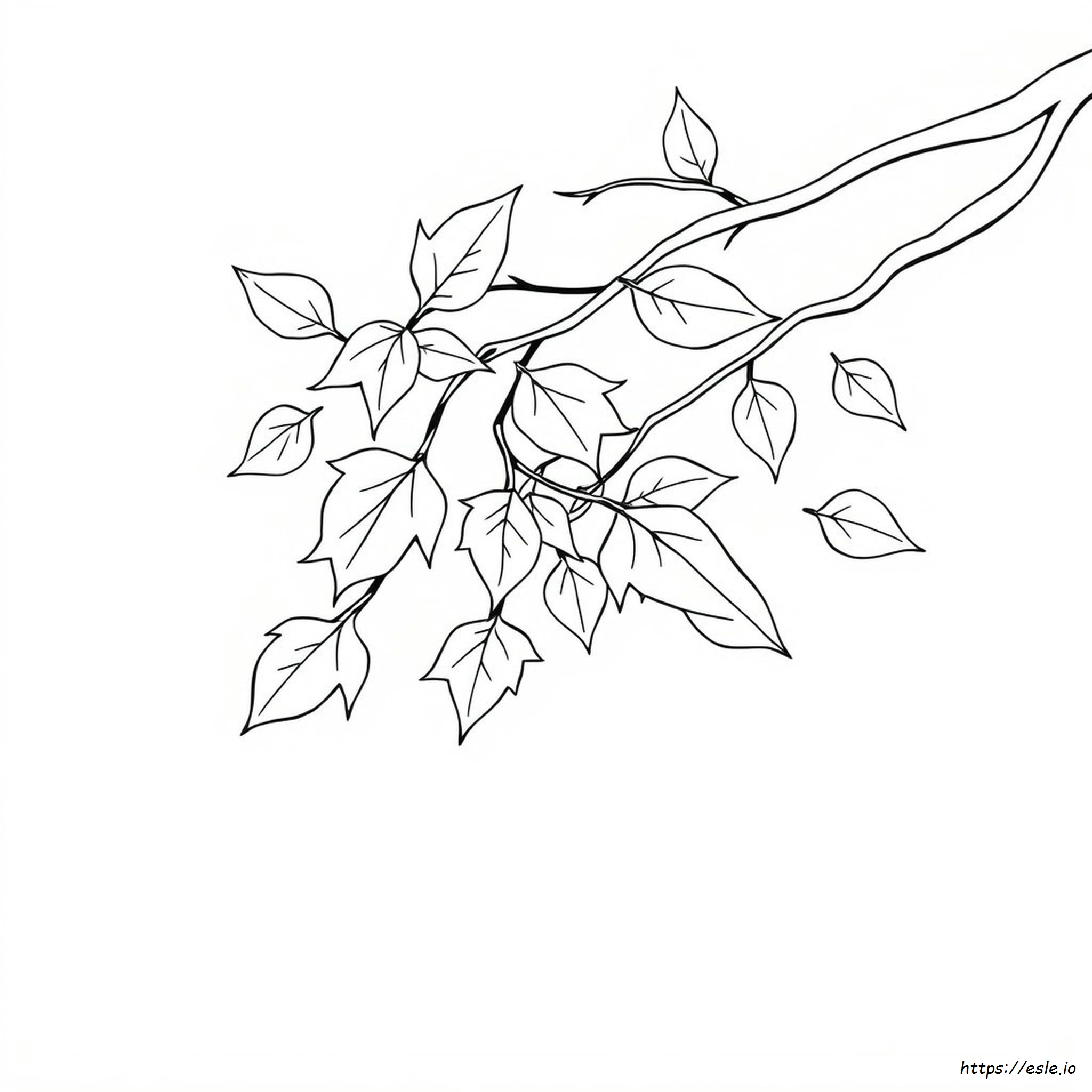 Leaves Coloring Pictures