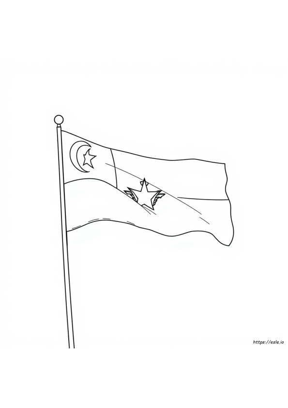 Bendera Brunei Gambar Mewarnai