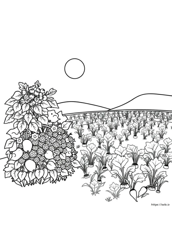 Fuentes De Colorantes Alimentarios Naturales
