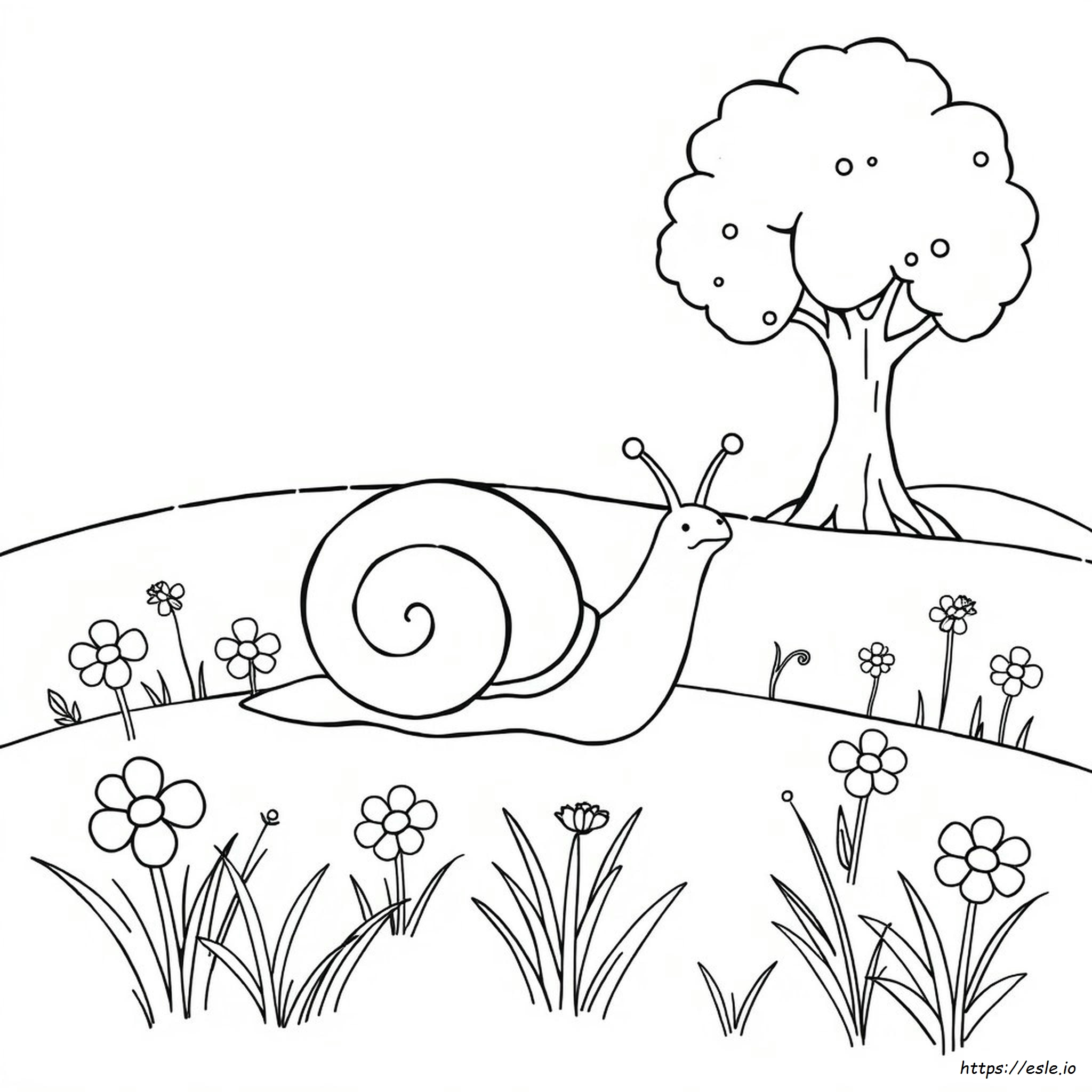 Snail Picture For Colouring