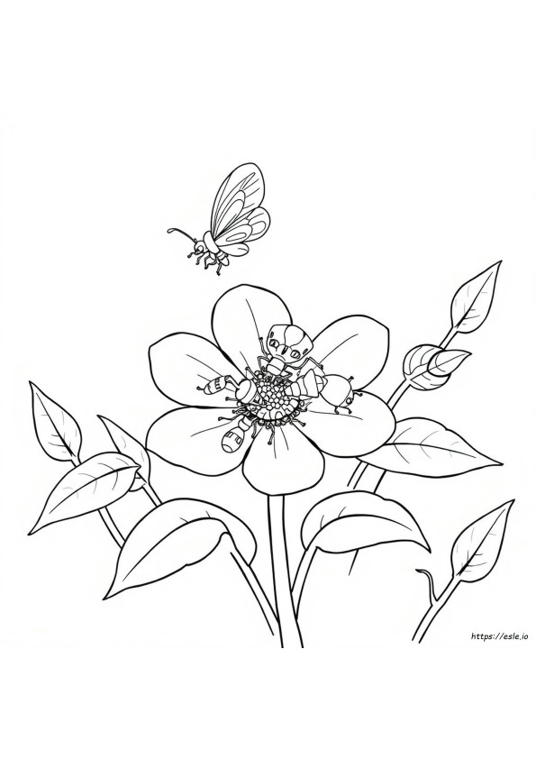 Böcekler Boyama Resimleri