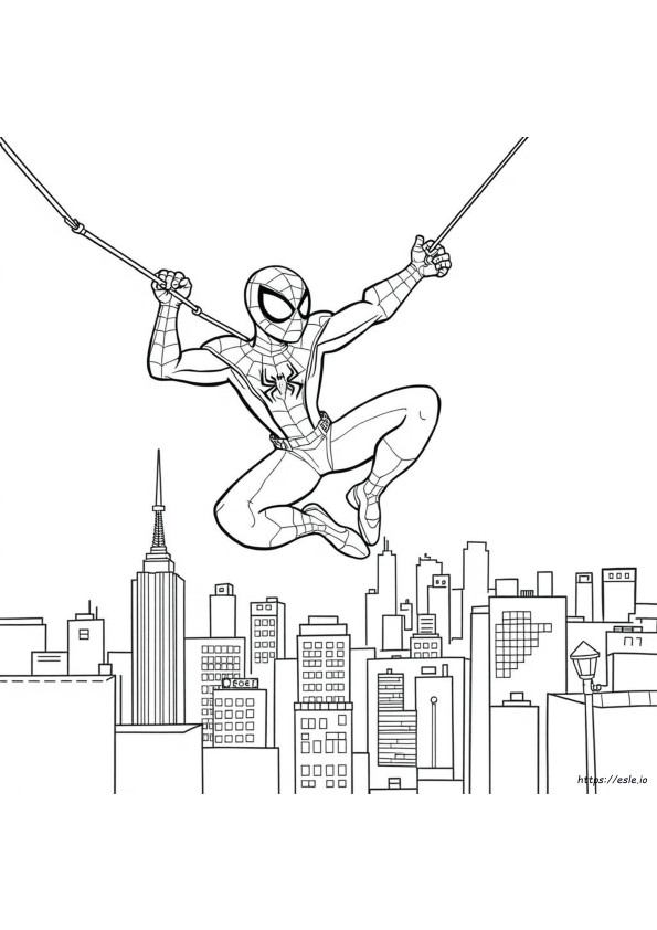 Spidey Colouring