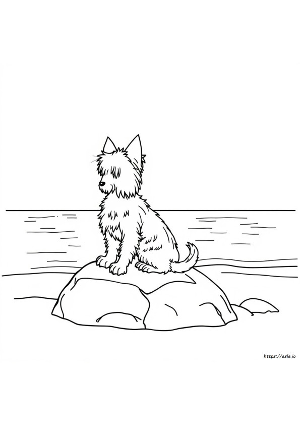 Yorkie Terrier Színező Oldalak