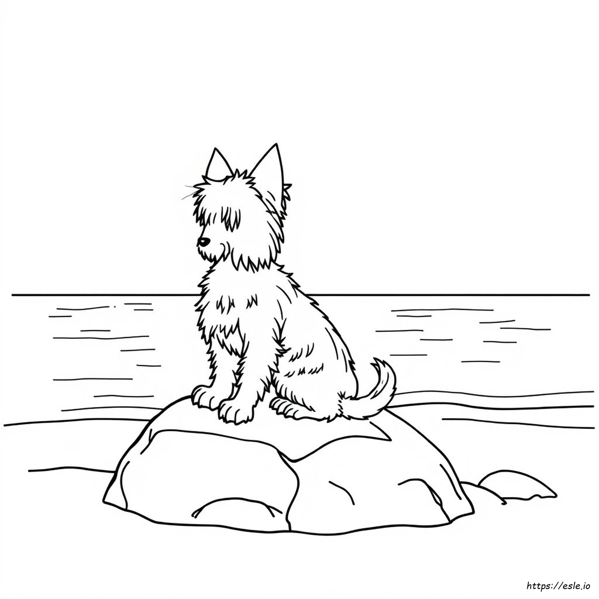 Yorkie Terrier Coloring Pages