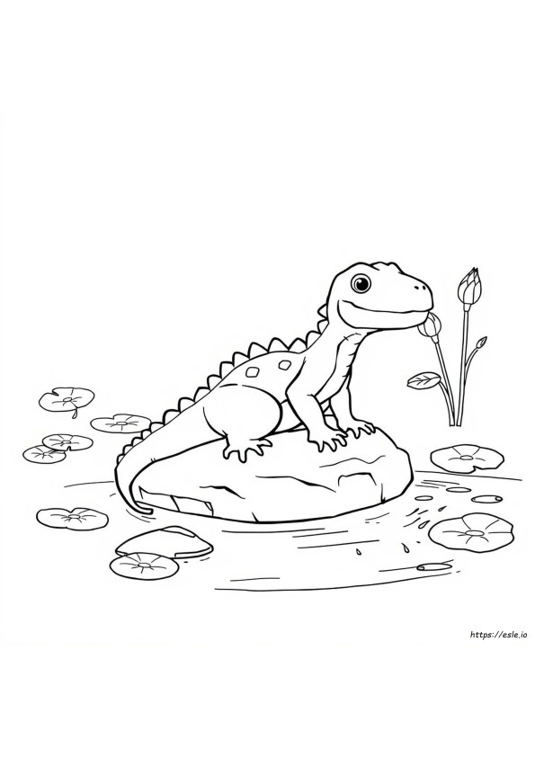 Axolotl Da Colorare